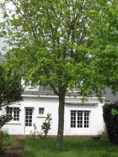 Vente Maison Le Croisic (44490)