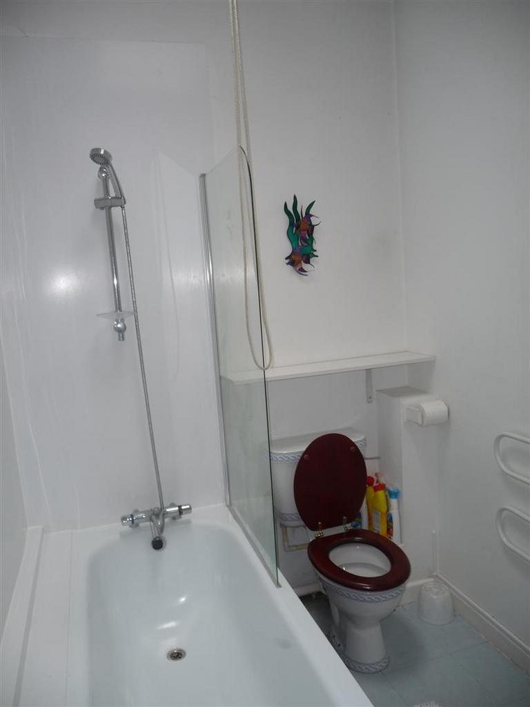 Lower Bathroom (2).JPG