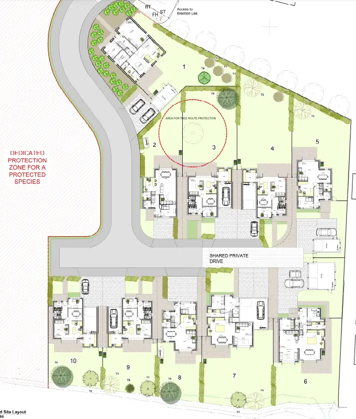 Site Layout