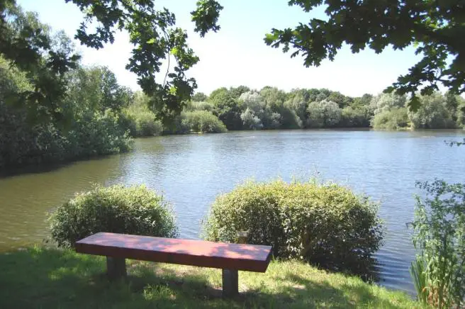 lake & bench ...