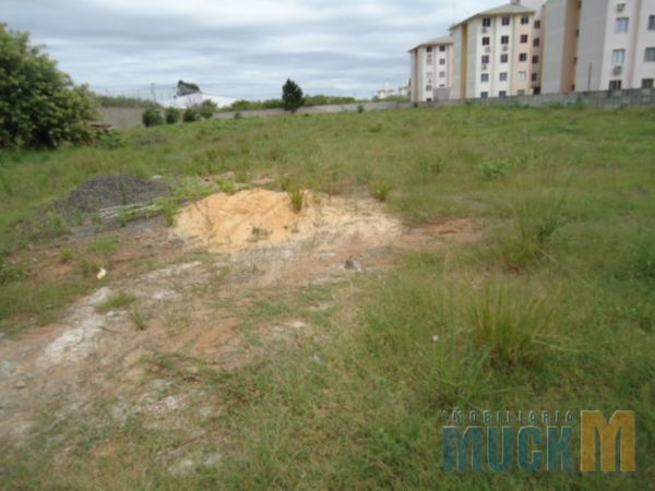 Lote/Terreno para Alugar, 5000 m² por R$ 10.000/Mês Rua Camboatás, 9 - Igara, Canoas - RS