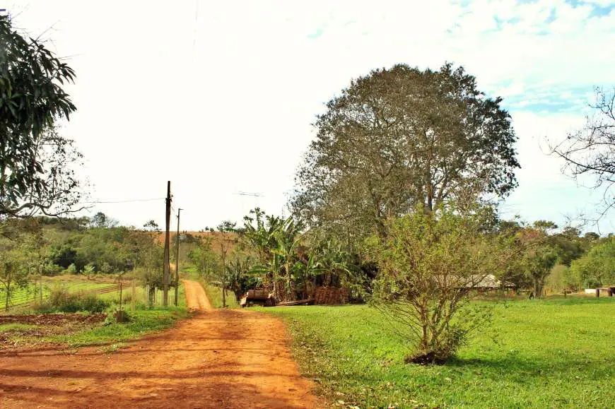 Lote/Terreno à Venda, 10000 m² por R$ 400.000 Zona Rural, Santa Terezinha de Itaipu - PR