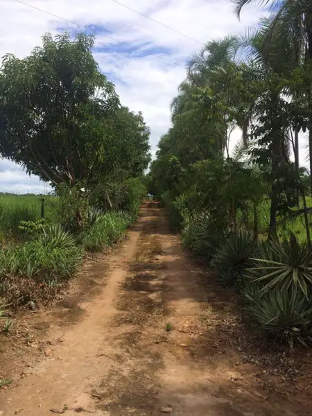 Chácara com 4 Quartos à Venda por R$ 1.000.000 Zona Rural, Piracanjuba - GO