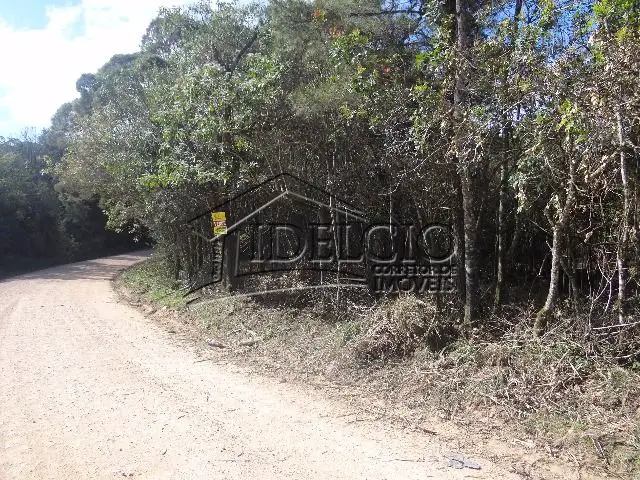 Chácara à Venda por R$ 250.000 Colônia Murici, São José dos Pinhais - PR