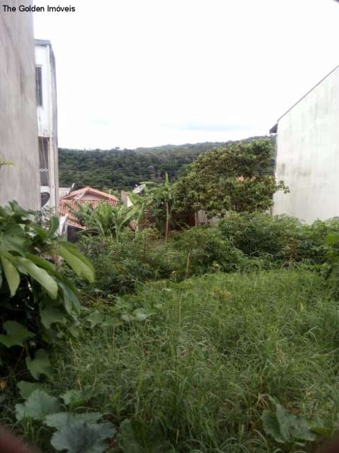 Lote/Terreno à Venda por R$ 215.000 Loteamento Residencial Ana Carolina, Valinhos - SP