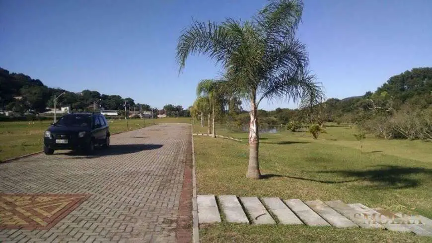Lote/Terreno à Venda, 443 m² por R$ 309.764 Rodovia Virgílio Várzea, 11 - Canasvieiras, Florianópolis - SC