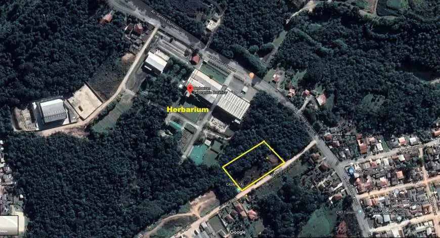 Lote/Terreno à Venda, 10221 m² por R$ 2.500.000 Avenida Santos Dumont - Roca Grande, Colombo - PR
