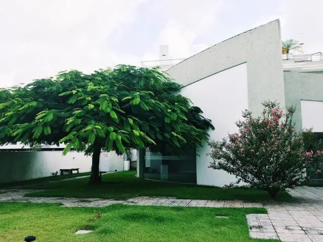 Apartamento com 2 Quartos para Alugar, 90 m² por R$ 600/Dia Ingleses do Rio Vermelho, Florianópolis - SC