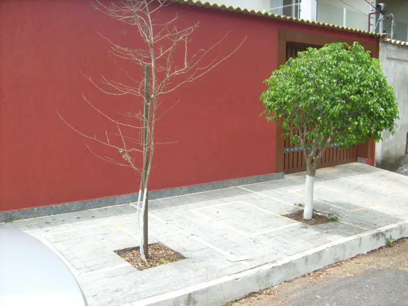Casa com 4 Quartos à Venda, 300 m² por R$ 1.400.000 Jardim dos Pirineus, Belo Horizonte - MG