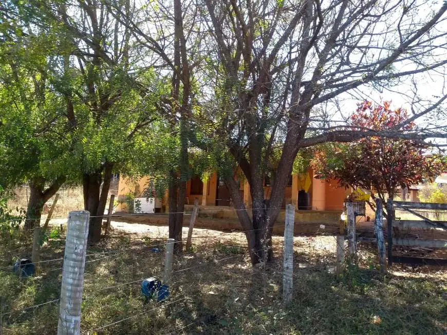Chácara com 3 Quartos à Venda, 200 m² por R$ 2.175.000 GO-020, S/n - Zona Rural, Piracanjuba - GO