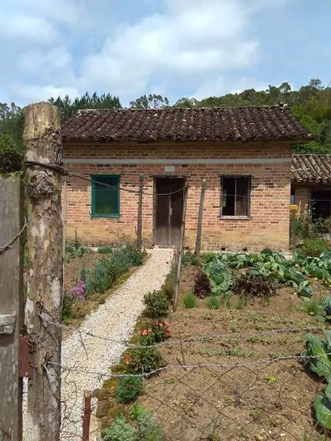 Chácara com 3 Quartos à Venda, 37000000 m² por R$ 600.000 SC-281 - Zona Rural, São Pedro de Alcântara - SC