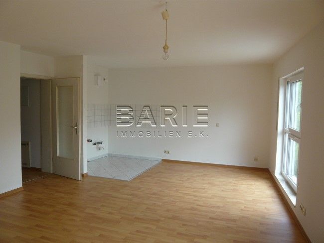 Wohnen / Schlafen Blick Kochen -- 1 Zimmer Apartment in Blasewitz - Nähe Elbauen und Schillerplatz