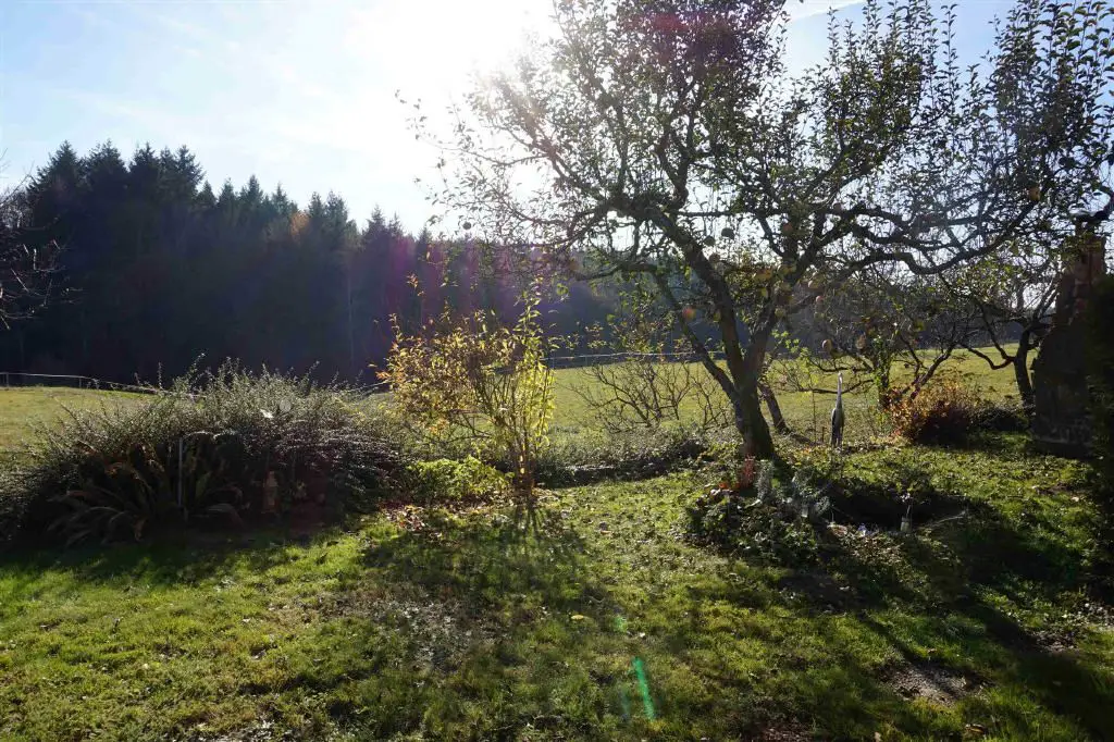 Garten- und Naturidylle -- Naturnahes, massives Einfamilienhaus mit Einliegerwohnung in Ellwangen-Teilort