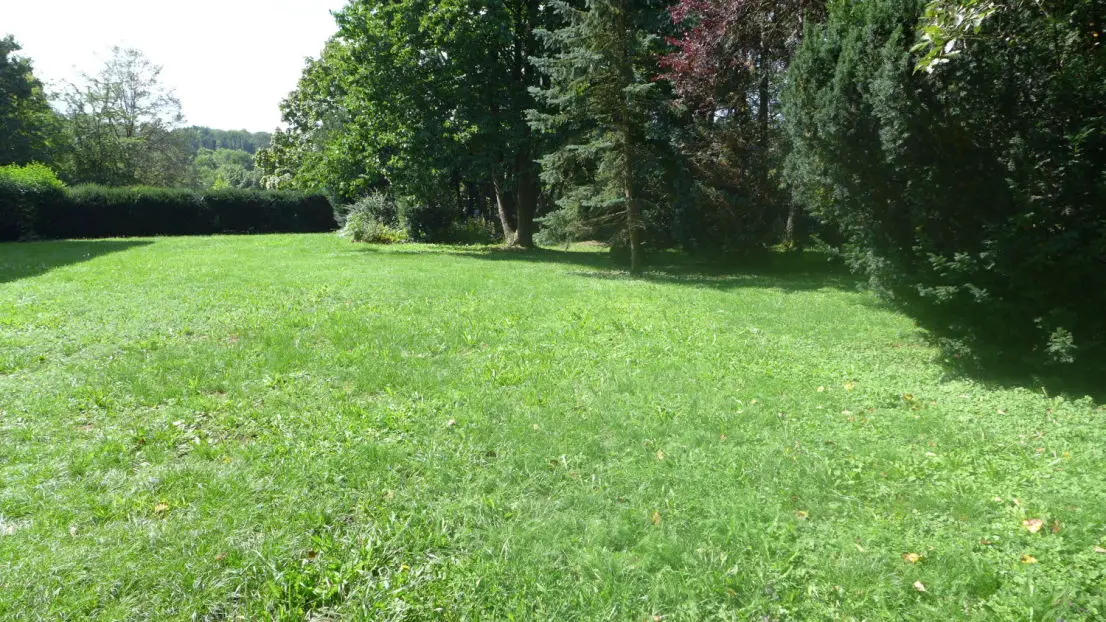 Garten -- Genießen Sie Ruhe und Natur im Wohngebiet Roßdorf