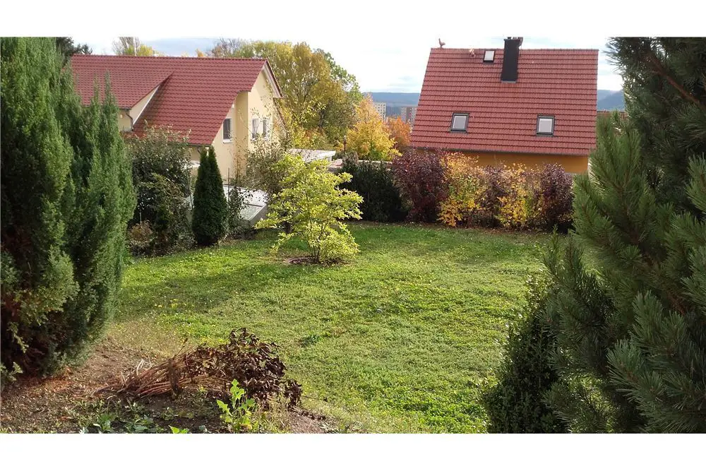 Blick in den Garten -- RE/MAX - Einfamilienhaus mit Garten in grüner ruhiger Lage – Nähe UNI Klinikum.... 