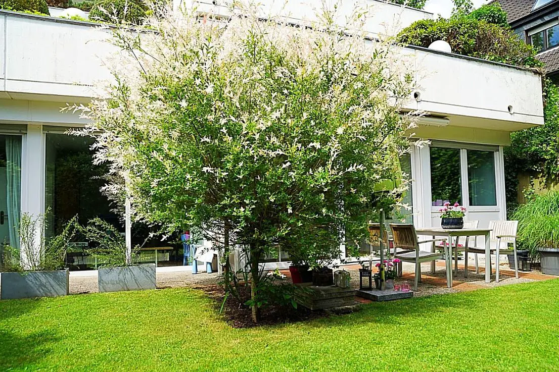 Garten- Terrassenansicht -- *** WOHNEN IN LUDENBERG: Schöne und ruhig gelegene 4 Zimmer-Wohnung mit eigenem Garten!