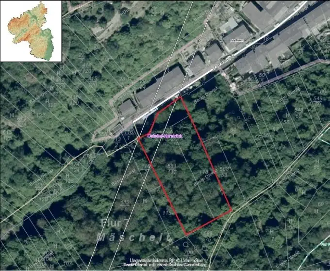 Lageplan Luftbild -- Baugrundstück in ruhiger Randlage (Sackgasse) der Stadt Cochem