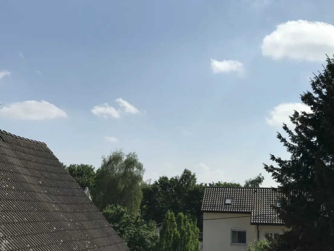 Blick von der Dachterrasse -- Mit Dachterrasse in grüner Umgebung: Reihenmittelhaus in Lochhausen