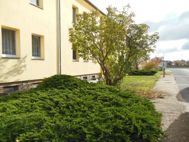 Außen -- Garten ca. 500m² + Gartenhaus + Garage + 3Zi. Wohnung in Kletzin!!