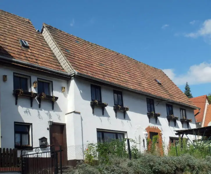 Bild -- Ein renovierungsbedürftiges, freistehendes Einfamilienhaus mit Garten in Leisnig