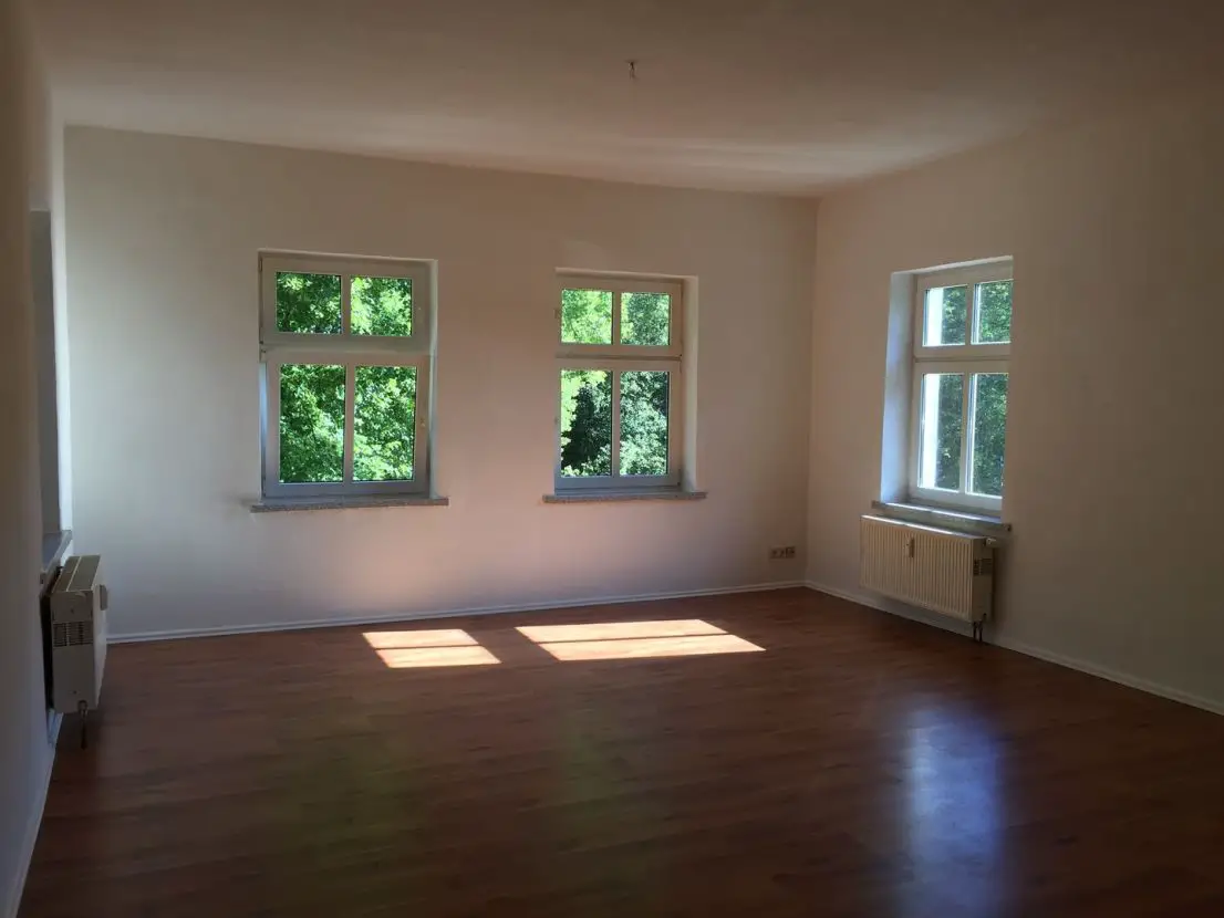 IMG 3856 -- Helle, moderne 2 Raum/Zimmer-Wohnung in Blankensee/Neubrandenburg, ruhig und doch zentral