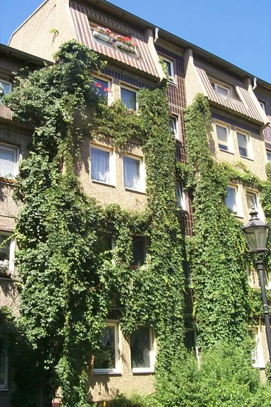 Gebäudeansicht -- Für Singles: Apartment 37 m² für 177,84 € (+BK) im Herzen Cottbus. Nähe Uni.