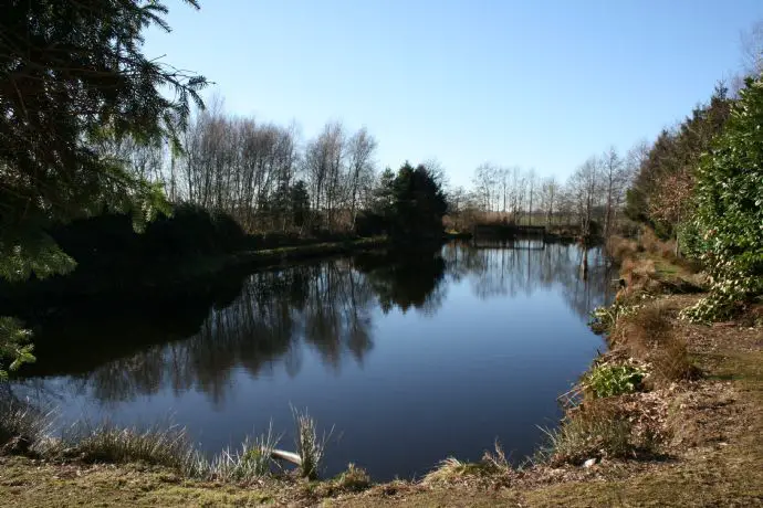 Bild 3 Großer Teich