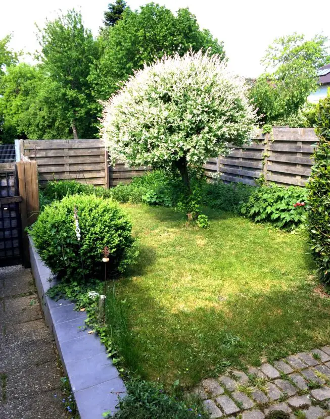 Kleiner Garten  -- Kleines Häuschen mit Terrasse und Garten