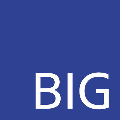 BIG Logo RGB RZ