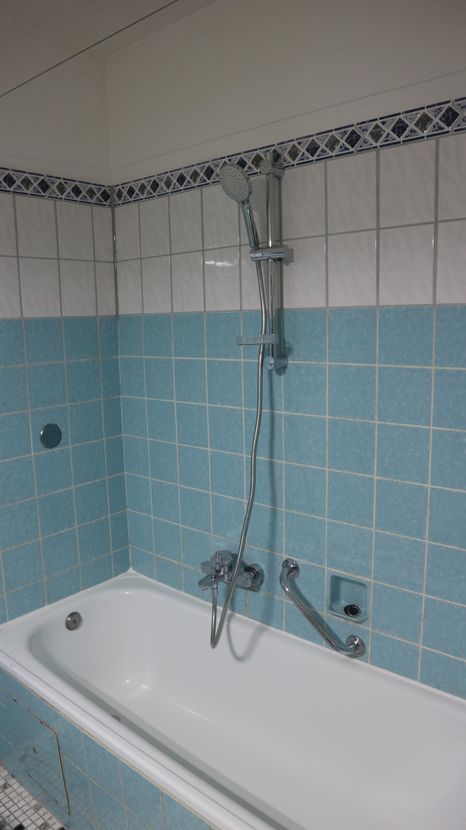 Badezimmer -- Schöne helle 1 ZKBB-Wohnung, Neckarstadt, an 1 Berufstätigen/ Studenten zu vermieten