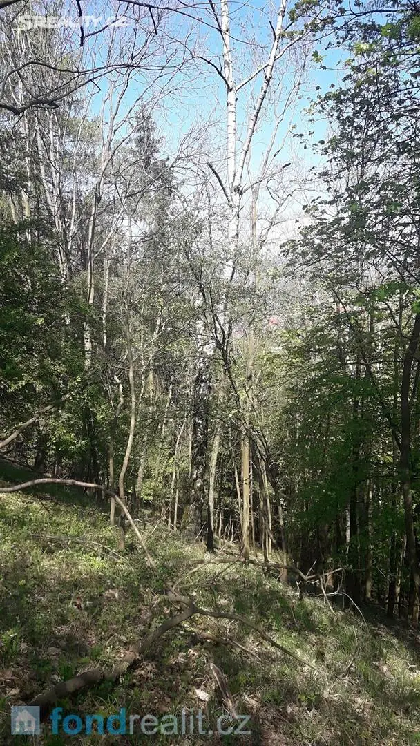 Prodej  lesa 6 474 m², Rovensko pod Troskami, okres Semily