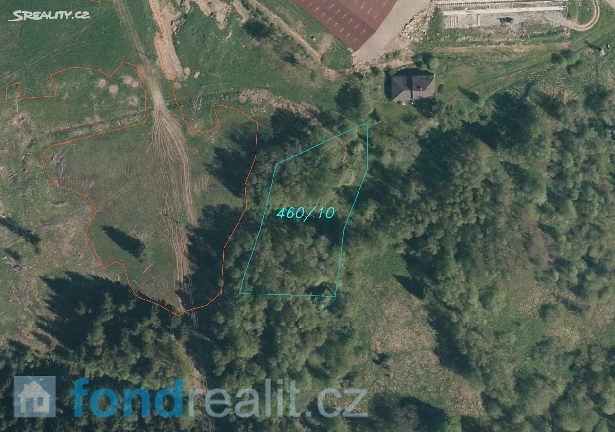 Prodej  pozemku 3 443 m², Horní Planá, okres Český Krumlov