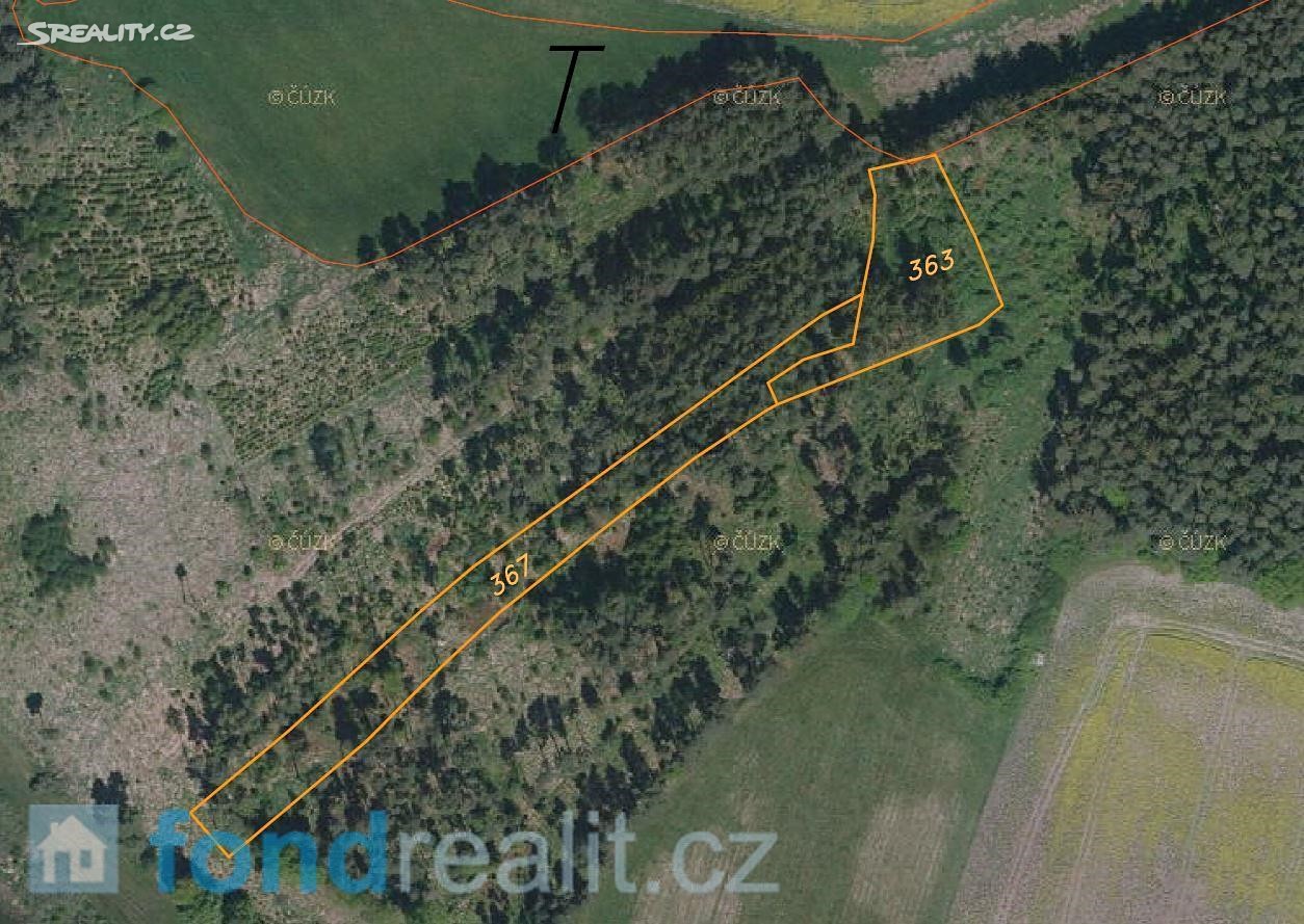 Prodej  lesa 11 563 m², Přehořov, okres Tábor