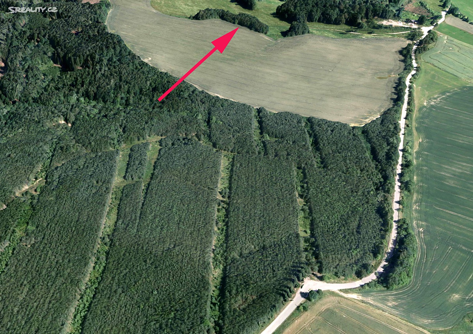 Prodej  lesa 815 m², Dubnice, okres Česká Lípa