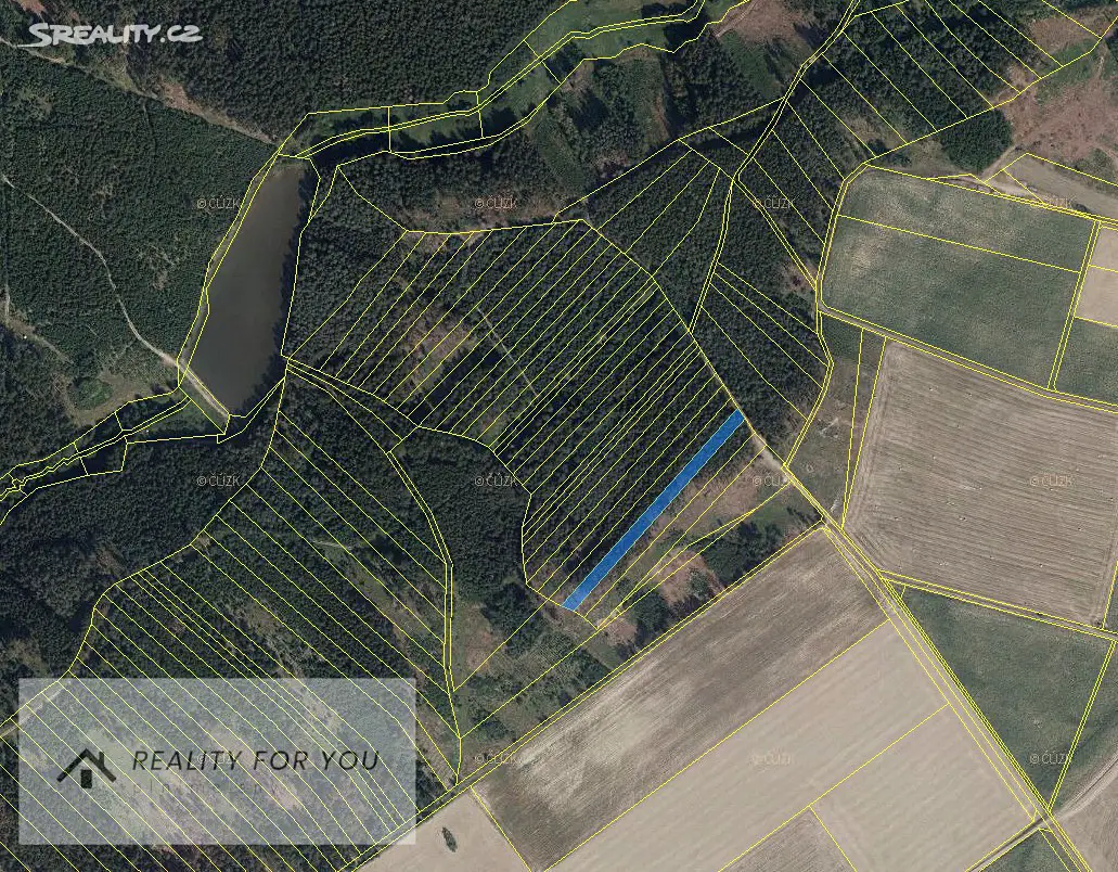 Prodej  lesa 38 971 m², Krasonice, okres Jihlava