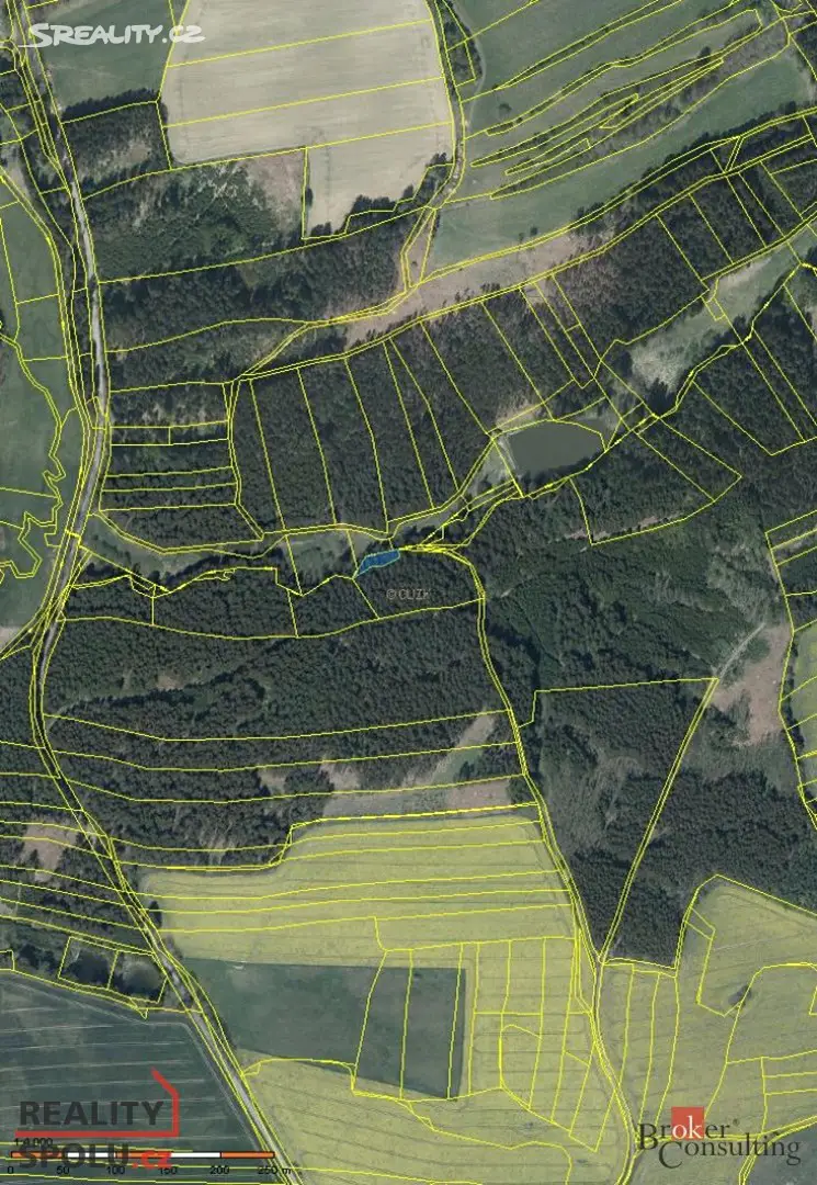 Prodej  lesa 443 m², Žirovnice, okres Pelhřimov
