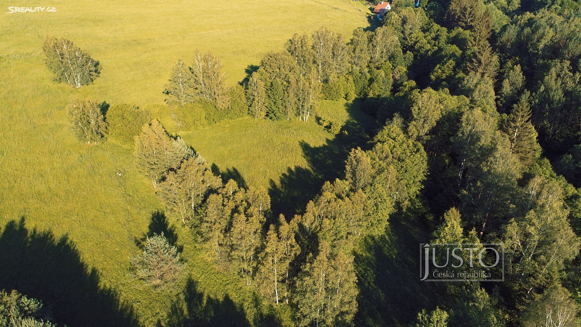Prodej  komerčního pozemku 64 048 m², Malšín, okres Český Krumlov