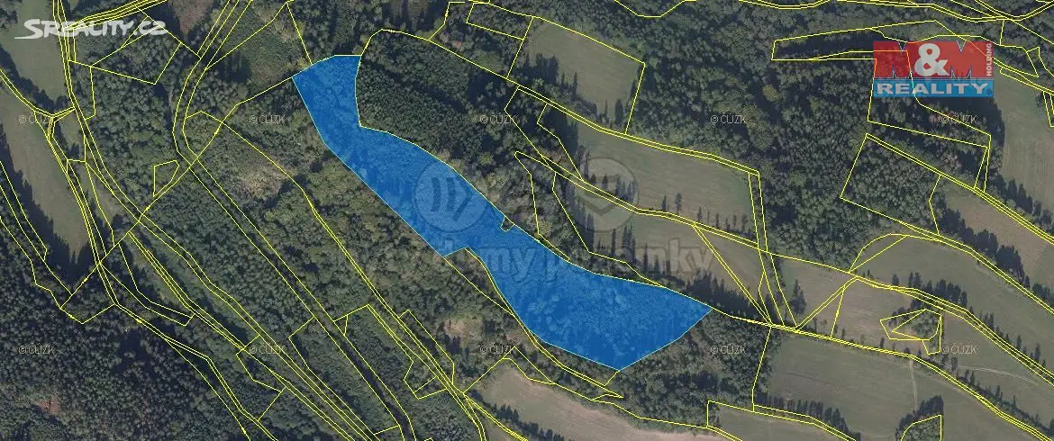 Prodej  lesa 2 376 193 m², Bohutín, okres Šumperk