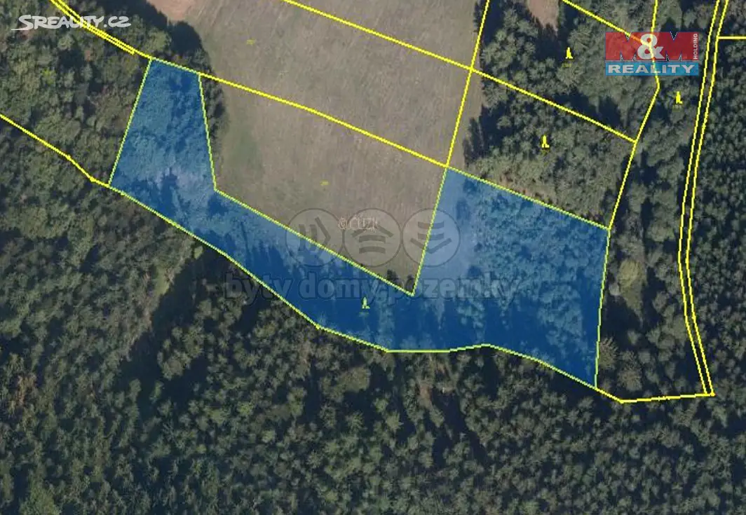 Prodej  lesa 55 436 m², Zborov, okres Šumperk
