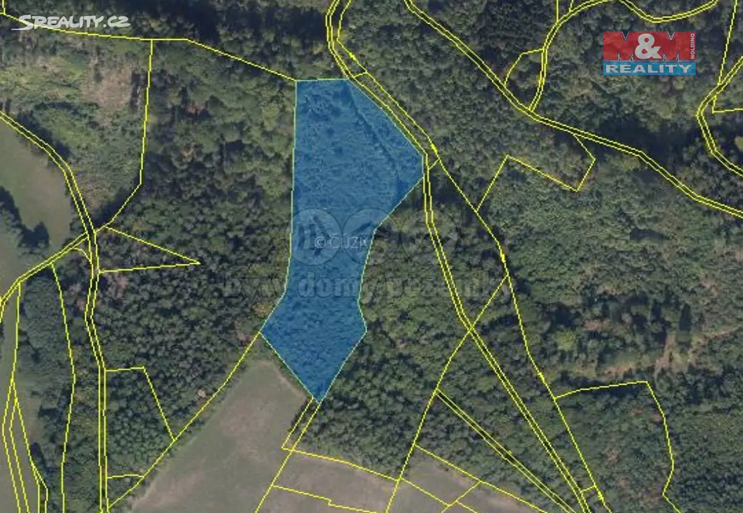 Prodej  lesa 53 854 m², Ruda nad Moravou - Hrabenov, okres Šumperk