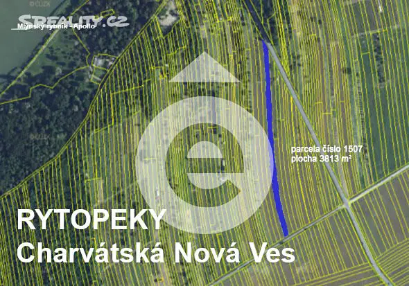 Prodej  pole 3 813 m², Břeclav - Charvátská Nová Ves, okres Břeclav