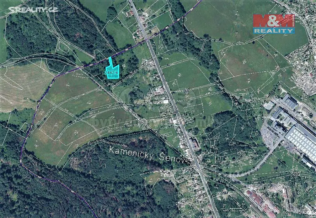 Prodej  lesa 2 600 m², Kamenický Šenov, okres Česká Lípa