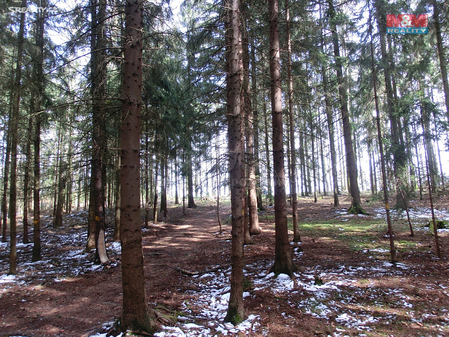 Prodej  lesa 5 101 m², Vlašim - Bolina, okres Benešov