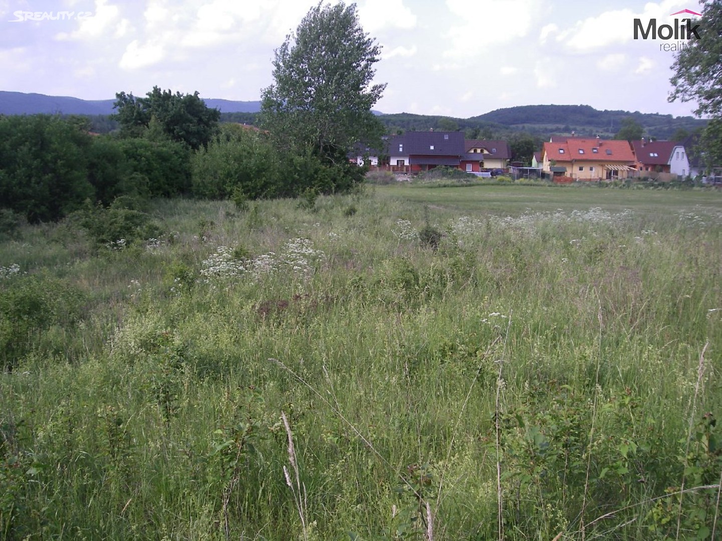 Prodej  stavebního pozemku 4 169 m², Chabařovice, okres Ústí nad Labem