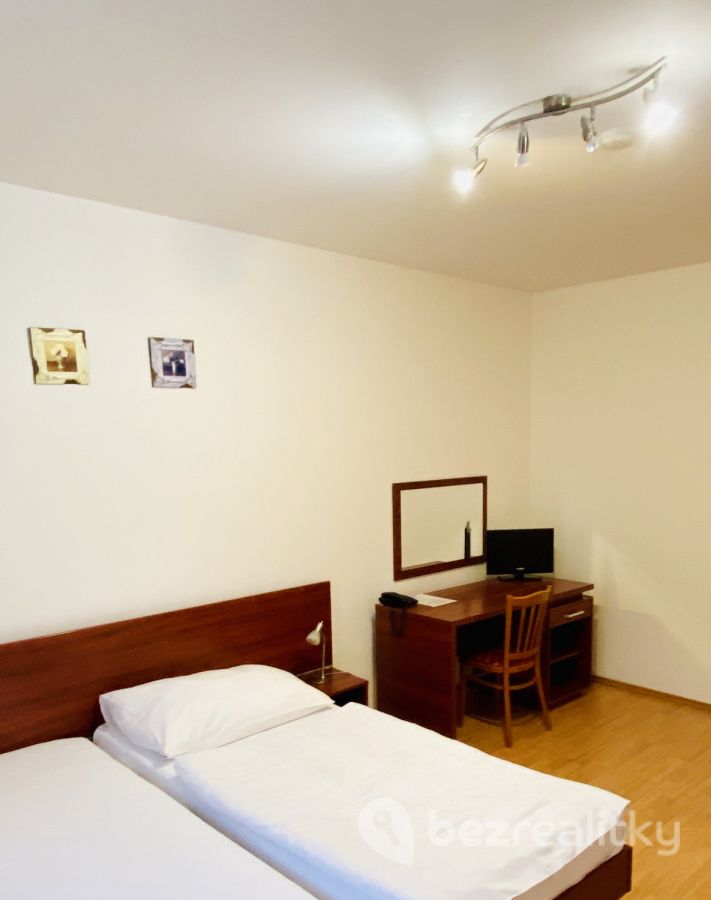 Pronájem bytu 1+kk 37 m², Jana Masaryka, Praha - Vinohrady, Praha, náhled. č. 9