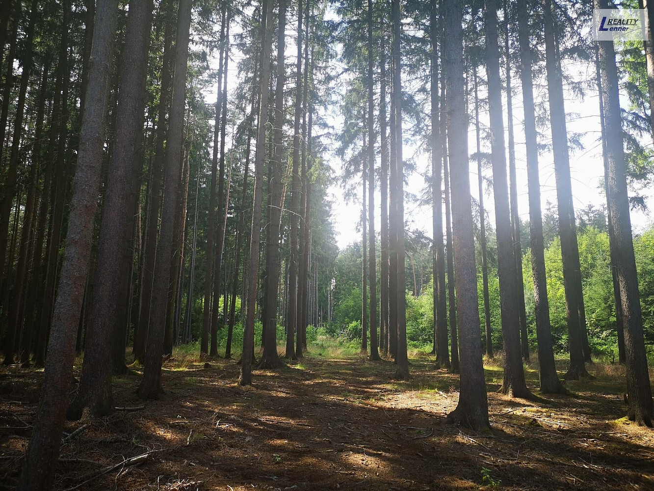 Nečín, okres Příbram