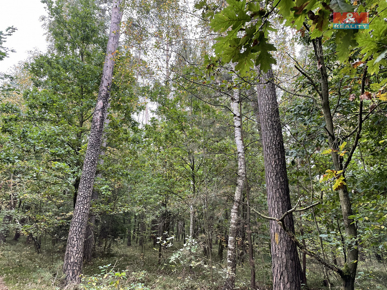 Újezd u Sezemic, okres Pardubice