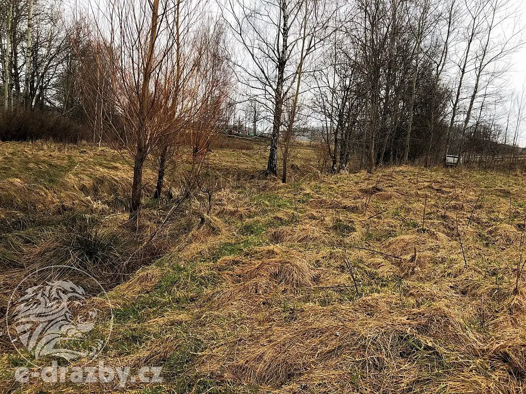 Stráž nad Nisou, okres Liberec