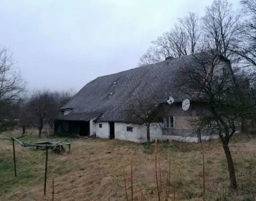 Těchonín - Celné, okres Ústí nad Orlicí