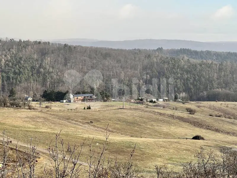 Zeiberlichova, Soběšice, Brno, Brno-město